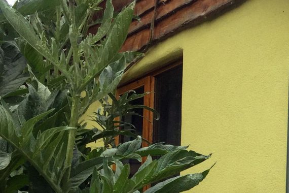 colour-rendered-eco-home-information